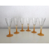 6x Champagne glazen - oranje voet