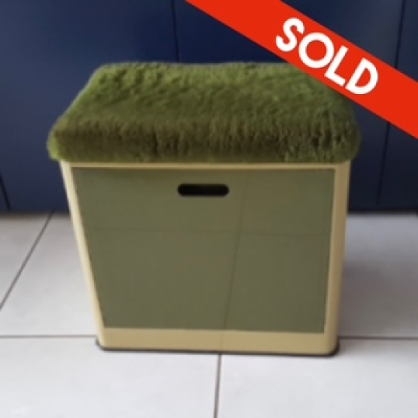 Emsa green laundry basket