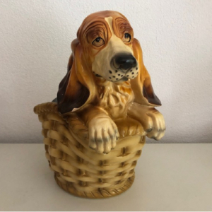 Hond in mand XL beeld