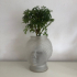 Head flowerpot - vase