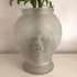 Head flowerpot - vase