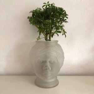 Head flowerpot - vase