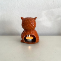 Oranje uil windlicht