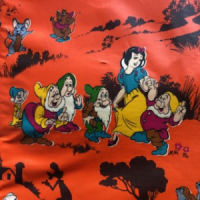 Disney oranje box kleed