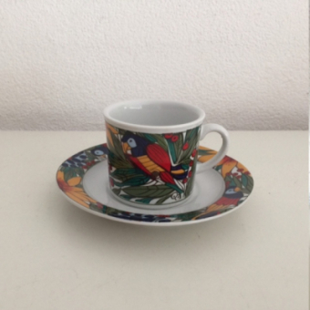 Cup and Saucer Tropicana