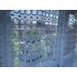 Funky block dot netting 1-2