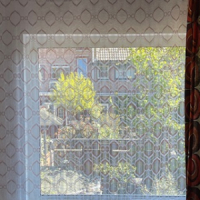 Psychedelic see through curtains WB2