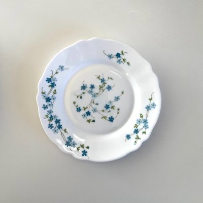 Arcopal Veronica breakfast plates