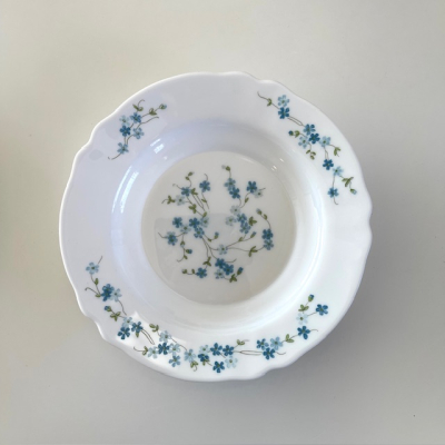 Arcopal Veronica pasta plates