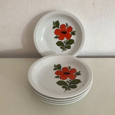 Bavaria Schumann Arzberg pasta plates