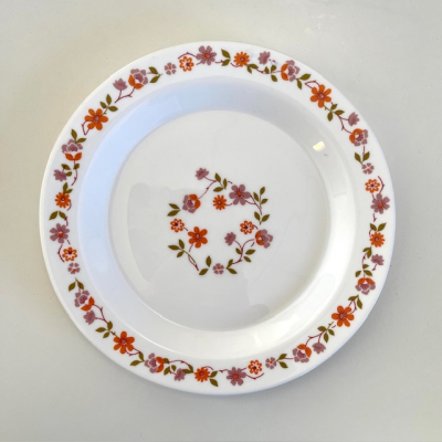 Arcopal Scania diner plates