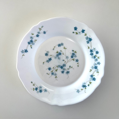 Arcopal Veronica diner plates