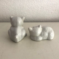 Poezen peper en zout stel