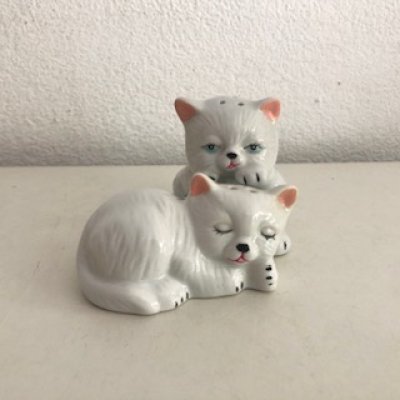 Kitties salt and pepper shakers Kitties salt and pepper shakers