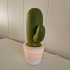Cactus tafellampje