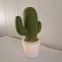 Cactus tafellampje