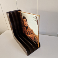 LP vinyl record storage- green