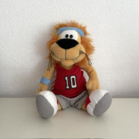 Loeki de Leeuw basketbal
