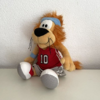 Loeki de Leeuw basketbal