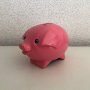 Rabobank money bank - pig